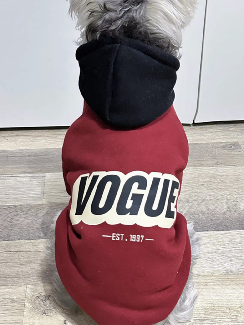 Hooded Pet Sweatshirt for Dogs and Cats