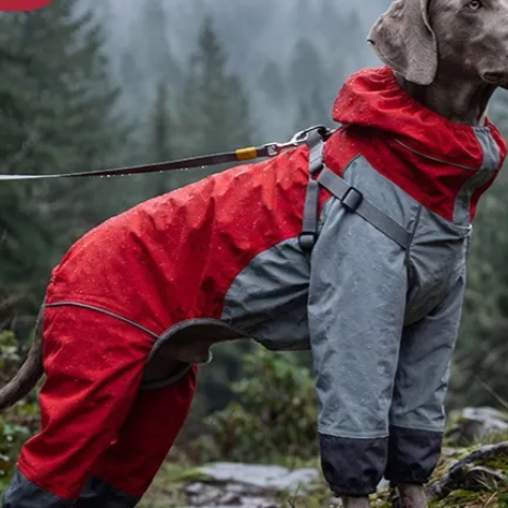 Outdoor four-legged big dog raincoat