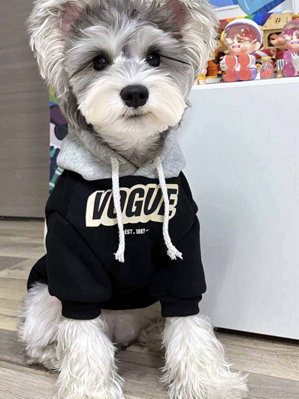 Hooded Pet Sweatshirt for Dogs and Cats